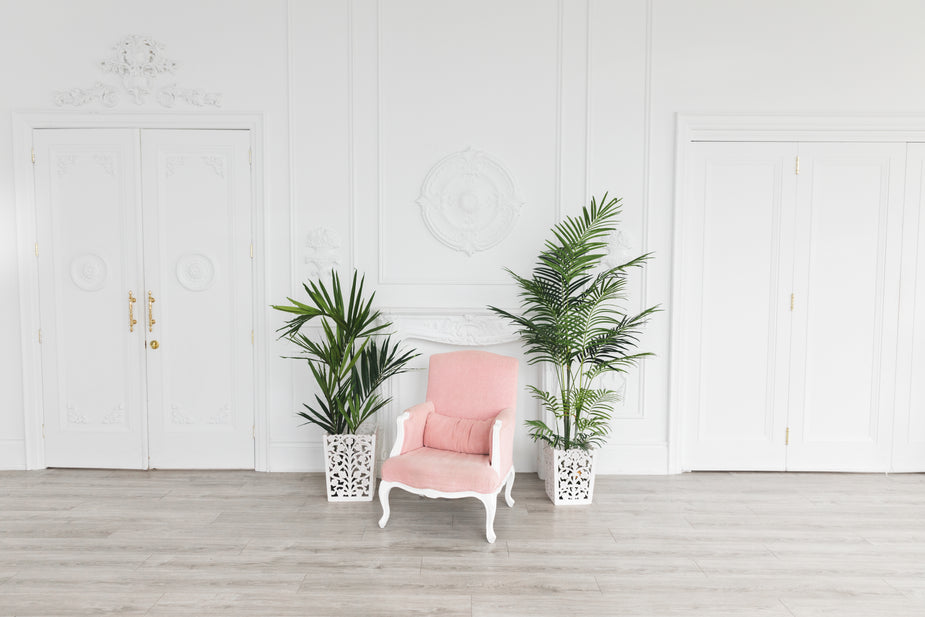 Clay Plant Pot
